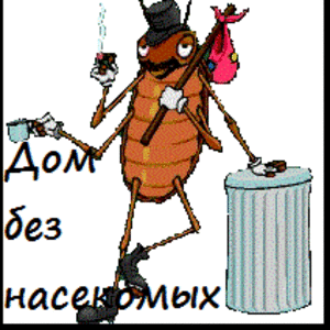 Дом без насекомых Барнаул 