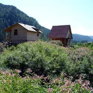 Дача -усадьба на Алтае 